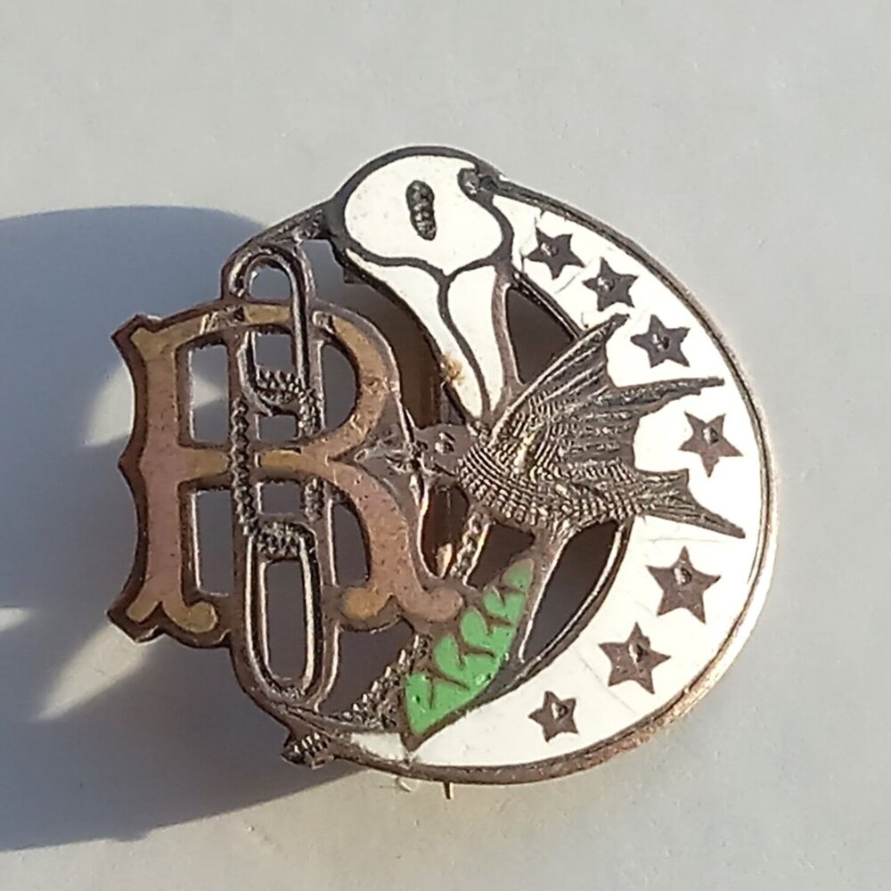 Small Vintage Enamel Pin